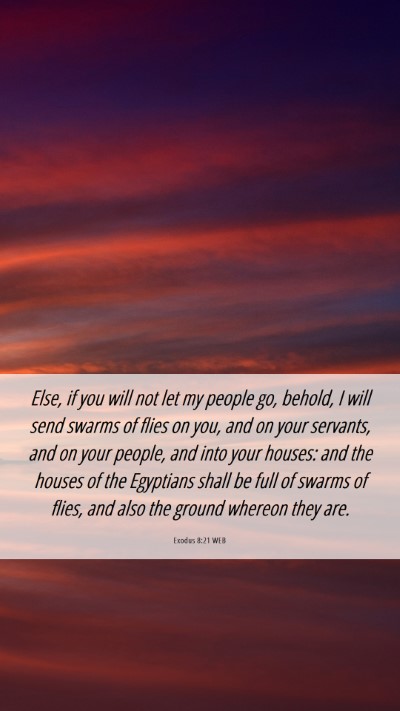 Picture 06 - Exodus 8:21 WEB Mobile Phone Wallpaper - Else, if you will not let my people go, behold, I - Mobile Bible Verse Wallpaper