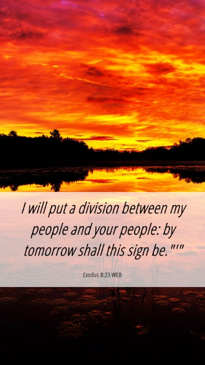 Picture 06 - Exodus 8:23 WEB Mobile Phone Wallpaper - I will put a division between my people and your - Mobile Bible Verse Wallpaper