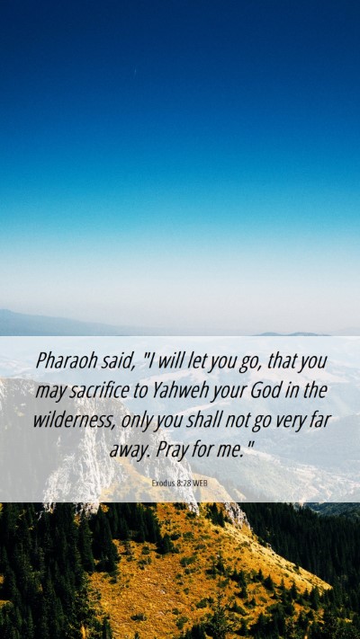 Picture 06 - Exodus 8:28 WEB Mobile Phone Wallpaper - Pharaoh said, 