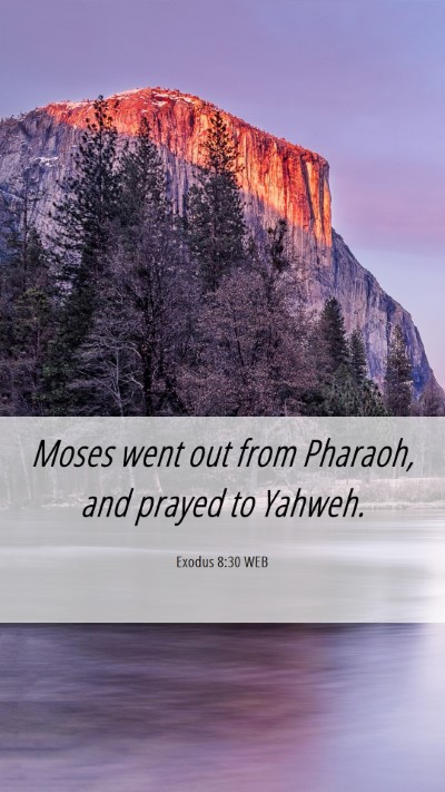 Picture 06 - Exodus 8:30 WEB Mobile Phone Wallpaper - Moses went out from Pharaoh, and prayed to - Mobile Bible Verse Wallpaper
