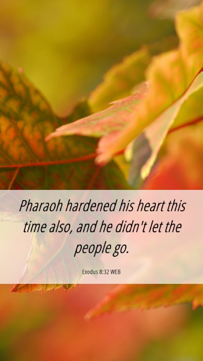 Picture 06 - Exodus 8:32 WEB Mobile Phone Wallpaper - Pharaoh hardened his heart this time also, and he - Mobile Bible Verse Wallpaper