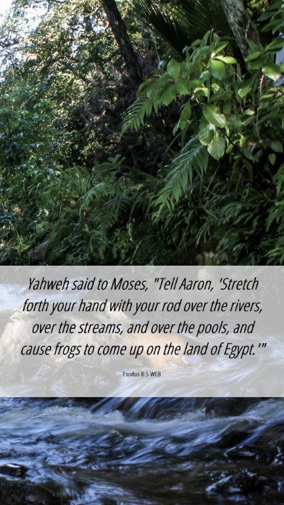 Picture 06 - Exodus 8:5 WEB Mobile Phone Wallpaper - Yahweh said to Moses, 