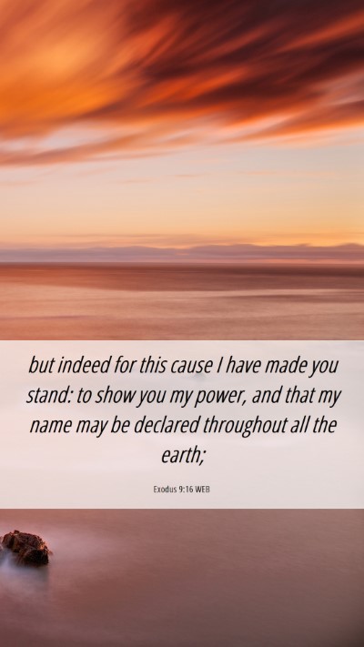 Picture 06 - Exodus 9:16 WEB Mobile Phone Wallpaper - but indeed for this cause I have made you stand: - Mobile Bible Verse Wallpaper