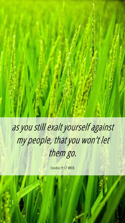 Picture 06 - Exodus 9:17 WEB Mobile Phone Wallpaper - as you still exalt yourself against my people, - Mobile Bible Verse Wallpaper