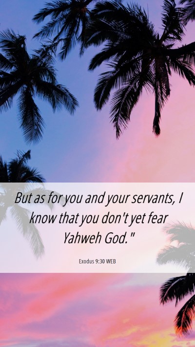 Picture 06 - Exodus 9:30 WEB Mobile Phone Wallpaper - But as for you and your servants, I know that you - Mobile Bible Verse Wallpaper