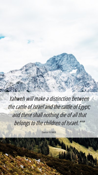 Picture 06 - Exodus 9:4 WEB Mobile Phone Wallpaper - Yahweh will make a distinction between the cattle - Mobile Bible Verse Wallpaper