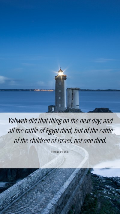 Picture 06 - Exodus 9:6 WEB Mobile Phone Wallpaper - Yahweh did that thing on the next day; and all - Mobile Bible Verse Wallpaper