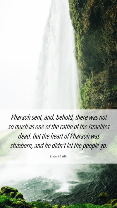 Picture 06 - Exodus 9:7 WEB Mobile Phone Wallpaper - Pharaoh sent, and, behold, there was not so much - Mobile Bible Verse Wallpaper