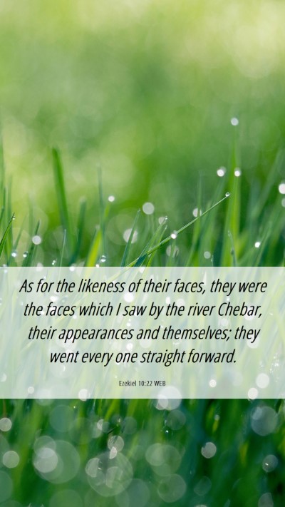 Picture 06 - Ezekiel 10:22 WEB Mobile Phone Wallpaper - As for the likeness of their faces, they were the - Mobile Bible Verse Wallpaper
