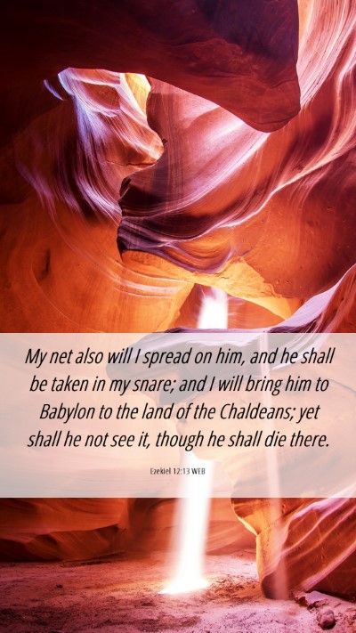 Picture 06 - Ezekiel 12:13 WEB Mobile Phone Wallpaper - My net also will I spread on him, and he shall be - Mobile Bible Verse Wallpaper