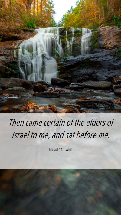 Picture 06 - Ezekiel 14:1 WEB Mobile Phone Wallpaper - Then came certain of the elders of Israel to me, - Mobile Bible Verse Wallpaper