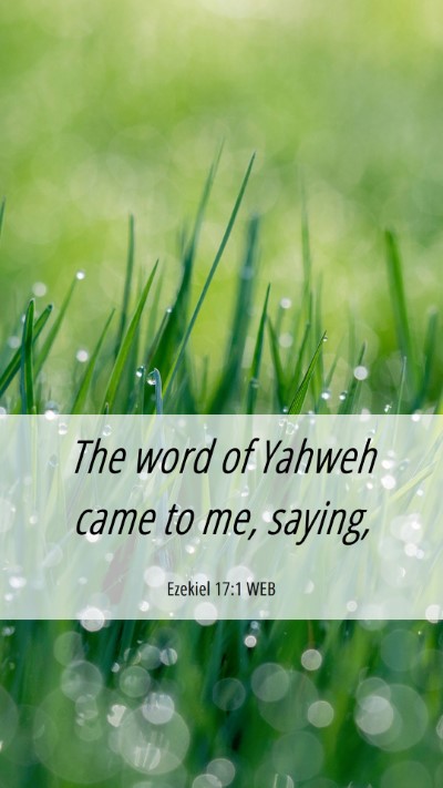 Picture 06 - Ezekiel 17:1 WEB Mobile Phone Wallpaper - The word of Yahweh came to me, - Mobile Bible Verse Wallpaper