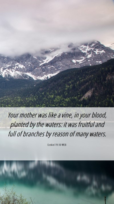 Picture 06 - Ezekiel 19:10 WEB Mobile Phone Wallpaper - Your mother was like a vine, in your blood, - Mobile Bible Verse Wallpaper