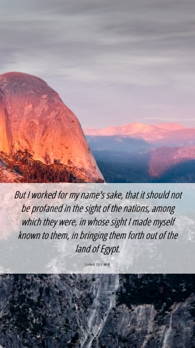 Picture 06 - Ezekiel 20:9 WEB Mobile Phone Wallpaper - But I worked for my name's sake, that it should - Mobile Bible Verse Wallpaper