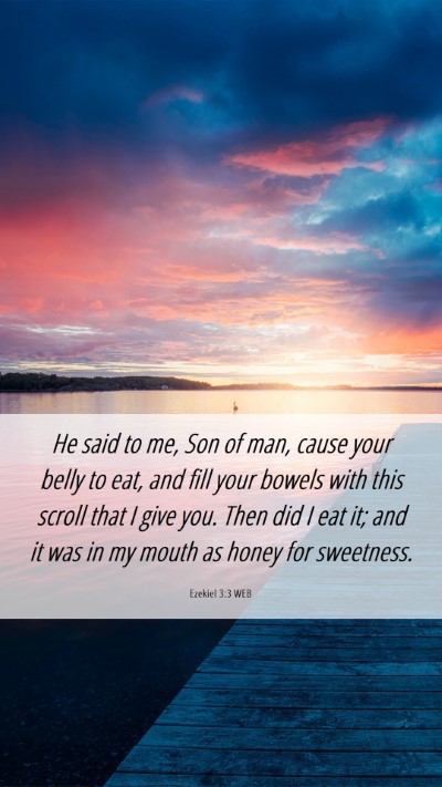 Picture 06 - Ezekiel 3:3 WEB Mobile Phone Wallpaper - He said to me, Son of man, cause your belly to - Mobile Bible Verse Wallpaper