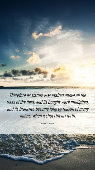 Picture 06 - Ezekiel 31:5 WEB Mobile Phone Wallpaper - Therefore its stature was exalted above all the - Mobile Bible Verse Wallpaper