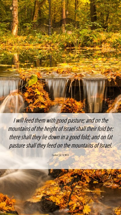 Picture 06 - Ezekiel 34:14 WEB Mobile Phone Wallpaper - I will feed them with good pasture; and on the - Mobile Bible Verse Wallpaper