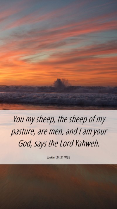 Picture 06 - Ezekiel 34:31 WEB Mobile Phone Wallpaper - You my sheep, the sheep of my pasture, are men, - Mobile Bible Verse Wallpaper