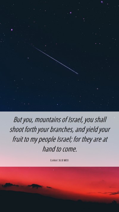 Picture 06 - Ezekiel 36:8 WEB Mobile Phone Wallpaper - But you, mountains of Israel, you shall shoot - Mobile Bible Verse Wallpaper