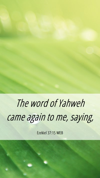 Picture 06 - Ezekiel 37:15 WEB Mobile Phone Wallpaper - The word of Yahweh came again to me, - Mobile Bible Verse Wallpaper