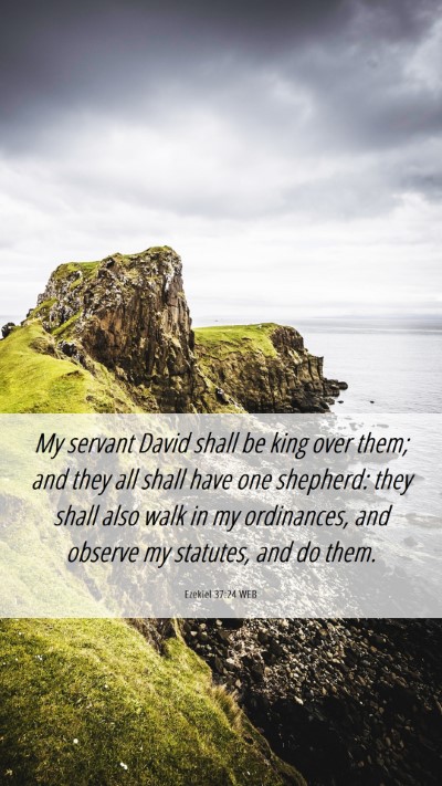 Picture 06 - Ezekiel 37:24 WEB Mobile Phone Wallpaper - My servant David shall be king over them; and - Mobile Bible Verse Wallpaper