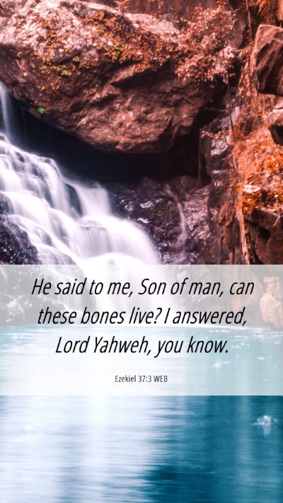 Picture 06 - Ezekiel 37:3 WEB Mobile Phone Wallpaper - He said to me, Son of man, can these bones live? - Mobile Bible Verse Wallpaper