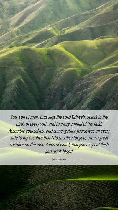 Picture 06 - Ezekiel 39:17 WEB Mobile Phone Wallpaper - You, son of man, thus says the Lord Yahweh: Speak - Mobile Bible Verse Wallpaper