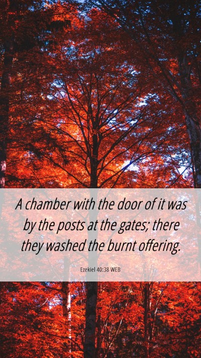 Picture 06 - Ezekiel 40:38 WEB Mobile Phone Wallpaper - A chamber with the door of it was by the posts at - Mobile Bible Verse Wallpaper