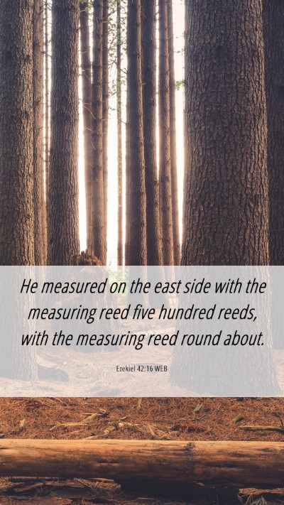 Picture 06 - Ezekiel 42:16 WEB Mobile Phone Wallpaper - He measured on the east side with the measuring - Mobile Bible Verse Wallpaper