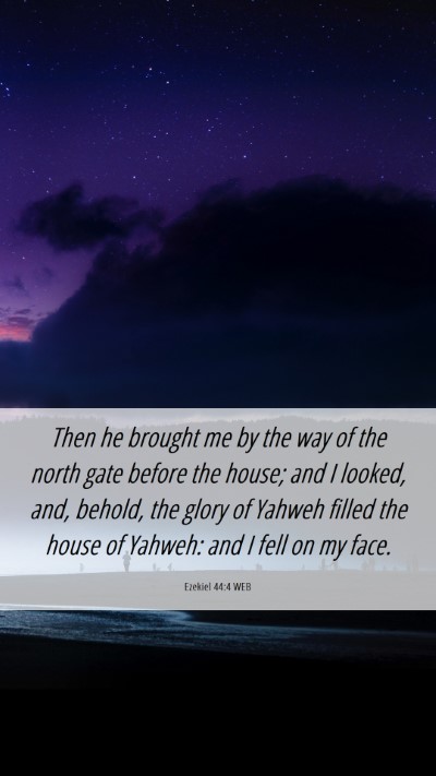 Picture 06 - Ezekiel 44:4 WEB Mobile Phone Wallpaper - Then he brought me by the way of the north gate - Mobile Bible Verse Wallpaper