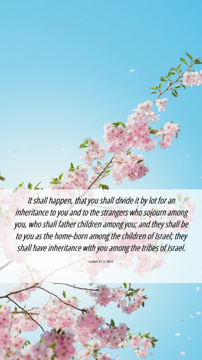 Picture 06 - Ezekiel 47:22 WEB Mobile Phone Wallpaper - It shall happen, that you shall divide it by lot - Mobile Bible Verse Wallpaper