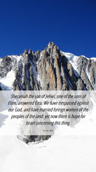 Picture 06 - Ezra 10:2 WEB Mobile Phone Wallpaper - Shecaniah the son of Jehiel, one of the sons of - Mobile Bible Verse Wallpaper