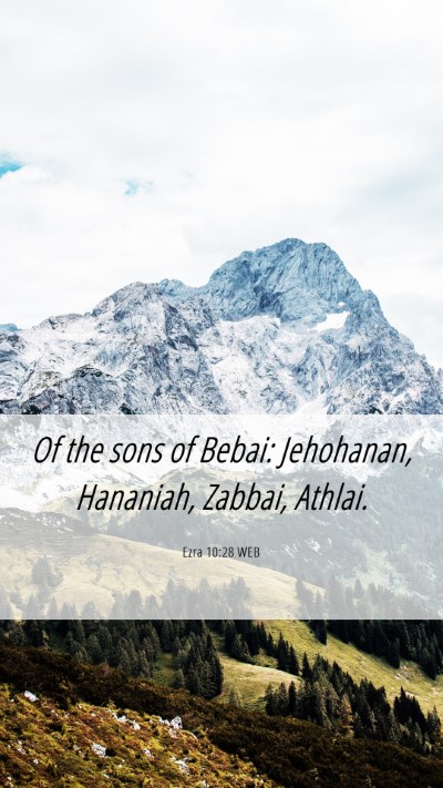 Picture 06 - Ezra 10:28 WEB Mobile Phone Wallpaper - Of the sons of Bebai: Jehohanan, Hananiah, - Mobile Bible Verse Wallpaper