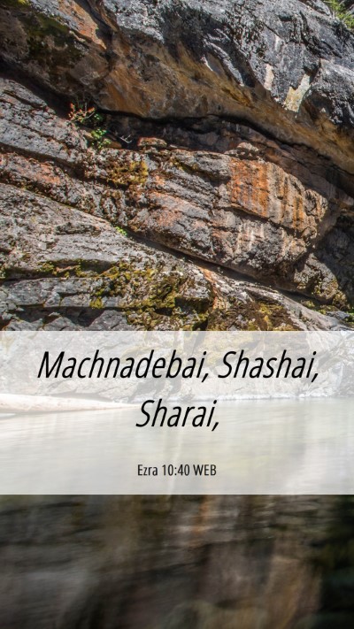 Picture 06 - Ezra 10:40 WEB Mobile Phone Wallpaper - Machnadebai, Shashai, - Mobile Bible Verse Wallpaper