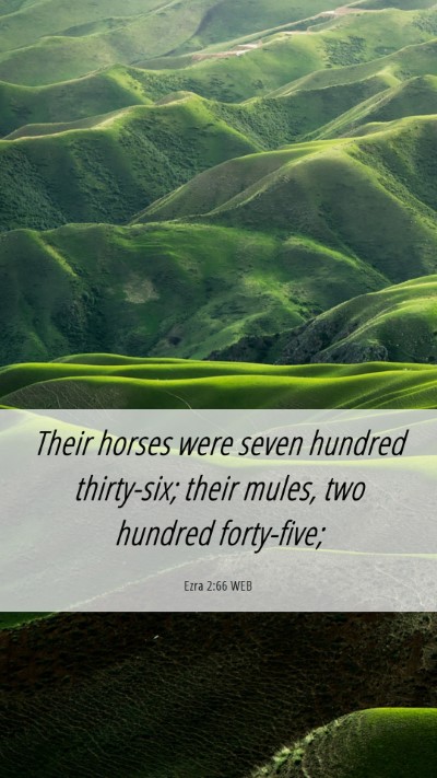 Picture 06 - Ezra 2:66 WEB Mobile Phone Wallpaper - Their horses were seven hundred thirty-six; their - Mobile Bible Verse Wallpaper