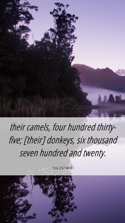 Picture 06 - Ezra 2:67 WEB Mobile Phone Wallpaper - their camels, four hundred thirty-five; [their] - Mobile Bible Verse Wallpaper