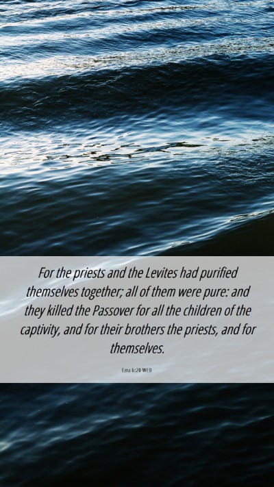 Picture 06 - Ezra 6:20 WEB Mobile Phone Wallpaper - For the priests and the Levites had purified - Mobile Bible Verse Wallpaper