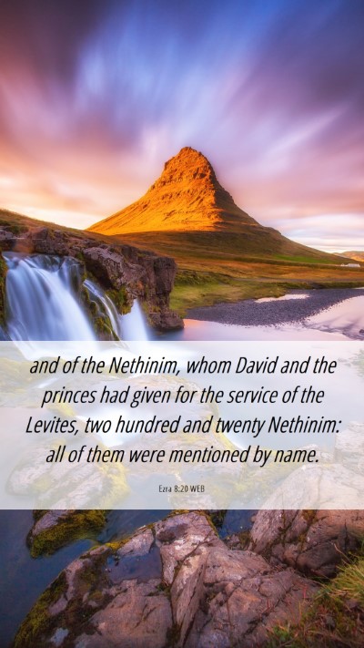 Picture 06 - Ezra 8:20 WEB Mobile Phone Wallpaper - and of the Nethinim, whom David and the princes - Mobile Bible Verse Wallpaper