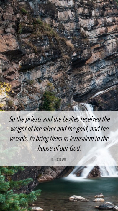 Picture 06 - Ezra 8:30 WEB Mobile Phone Wallpaper - So the priests and the Levites received the - Mobile Bible Verse Wallpaper