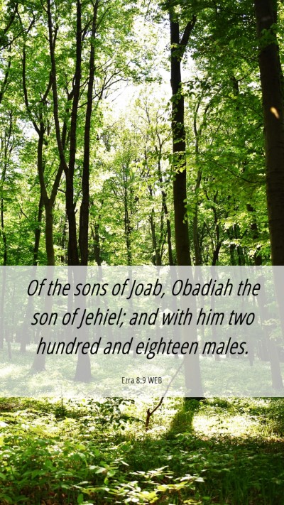 Picture 06 - Ezra 8:9 WEB Mobile Phone Wallpaper - Of the sons of Joab, Obadiah the son of Jehiel; - Mobile Bible Verse Wallpaper