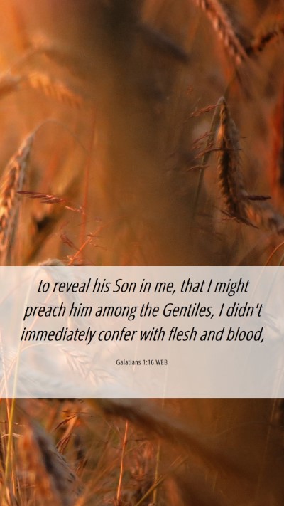 Picture 06 - Galatians 1:16 WEB Mobile Phone Wallpaper - to reveal his Son in me, that I might preach him - Mobile Bible Verse Wallpaper