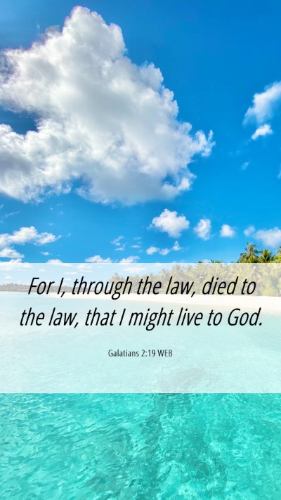 Picture 06 - Galatians 2:19 WEB Mobile Phone Wallpaper - For I, through the law, died to the law, that I - Mobile Bible Verse Wallpaper