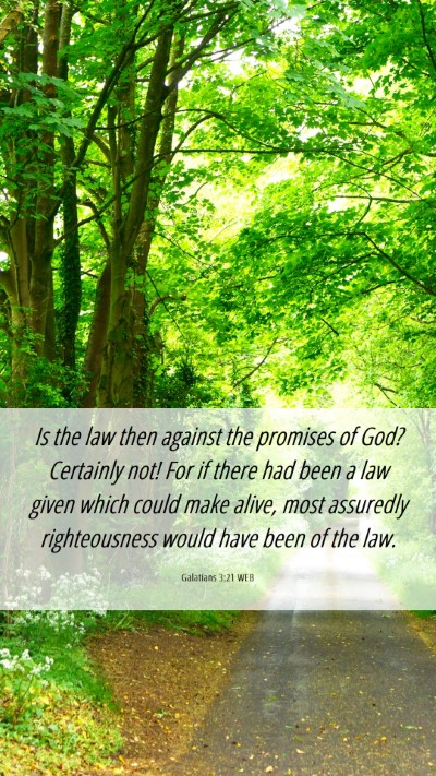 Picture 06 - Galatians 3:21 WEB Mobile Phone Wallpaper - Is the law then against the promises of God? - Mobile Bible Verse Wallpaper