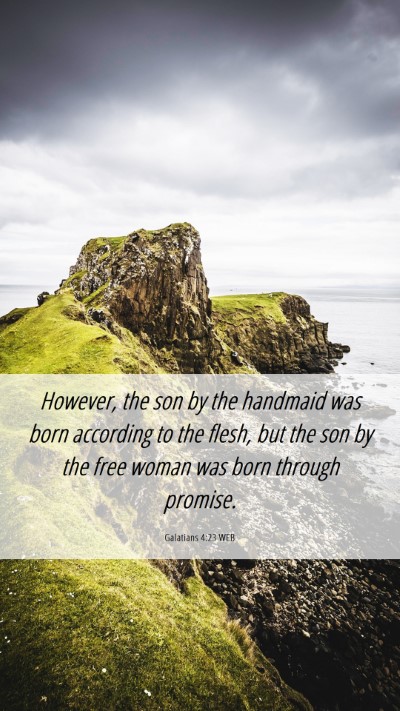 Picture 06 - Galatians 4:23 WEB Mobile Phone Wallpaper - However, the son by the handmaid was born - Mobile Bible Verse Wallpaper