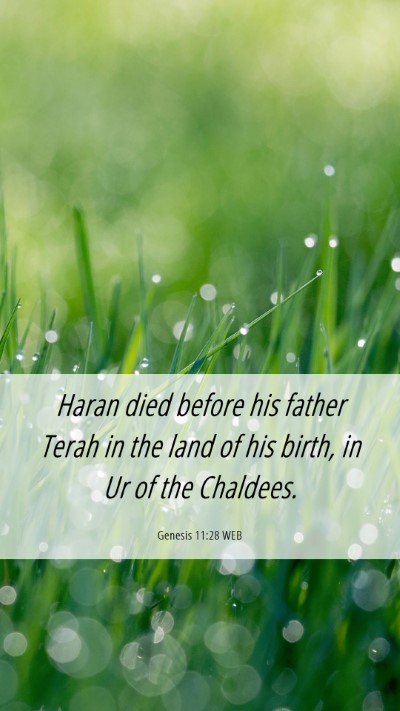 Picture 06 - Genesis 11:28 WEB Mobile Phone Wallpaper - Haran died before his father Terah in the land of - Mobile Bible Verse Wallpaper