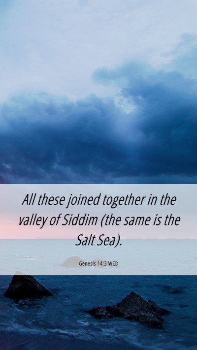 Picture 06 - Genesis 14:3 WEB Mobile Phone Wallpaper - All these joined together in the valley of Siddim - Mobile Bible Verse Wallpaper