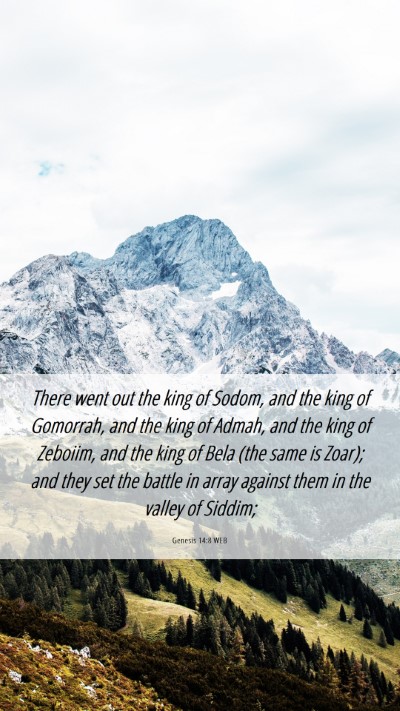 Picture 06 - Genesis 14:8 WEB Mobile Phone Wallpaper - There went out the king of Sodom, and the king of - Mobile Bible Verse Wallpaper