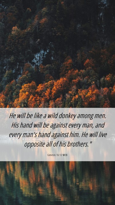 Picture 06 - Genesis 16:12 WEB Mobile Phone Wallpaper - He will be like a wild donkey among men. His hand - Mobile Bible Verse Wallpaper