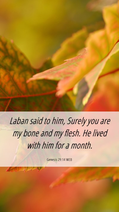 Picture 06 - Genesis 29:14 WEB Mobile Phone Wallpaper - Laban said to him, Surely you are my bone and my - Mobile Bible Verse Wallpaper