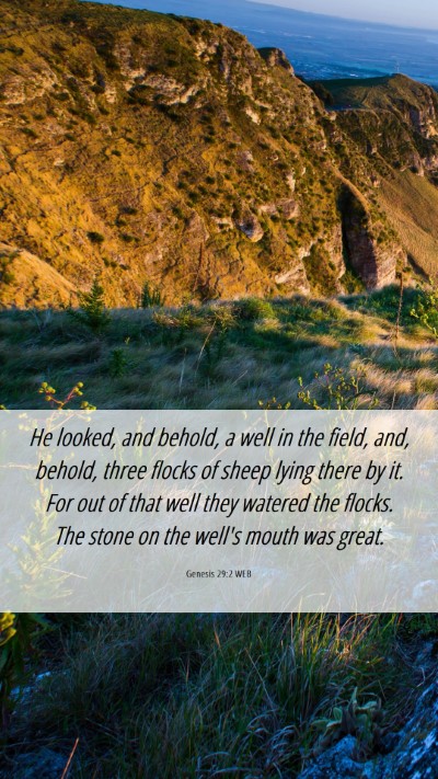 Picture 06 - Genesis 29:2 WEB Mobile Phone Wallpaper - He looked, and behold, a well in the field, and, - Mobile Bible Verse Wallpaper